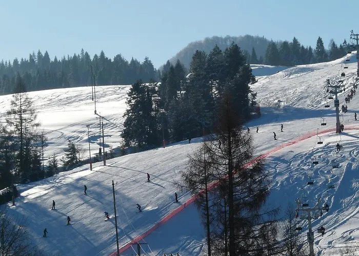 U Stop Kilimandzaro Jaworki