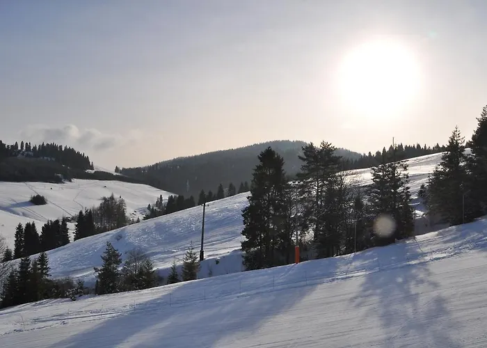 U Stop Kilimandzaro * Jaworki